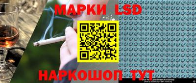 гашик Камышлов