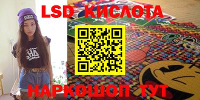 гашик Камышлов