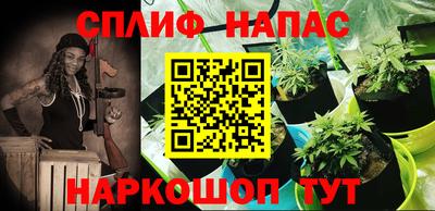 молекула духа Кандалакша