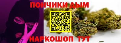 гашик Камышлов