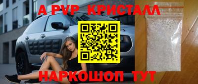 гашик Камышлов