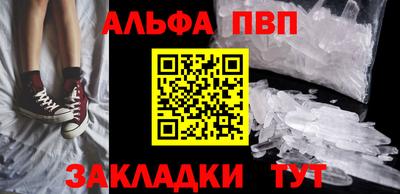 гашик Камышлов