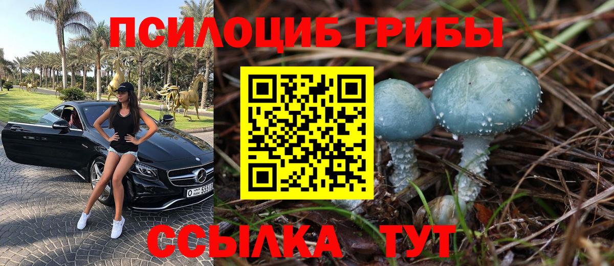 Псилоцибиновые грибы мухоморы Кубинка